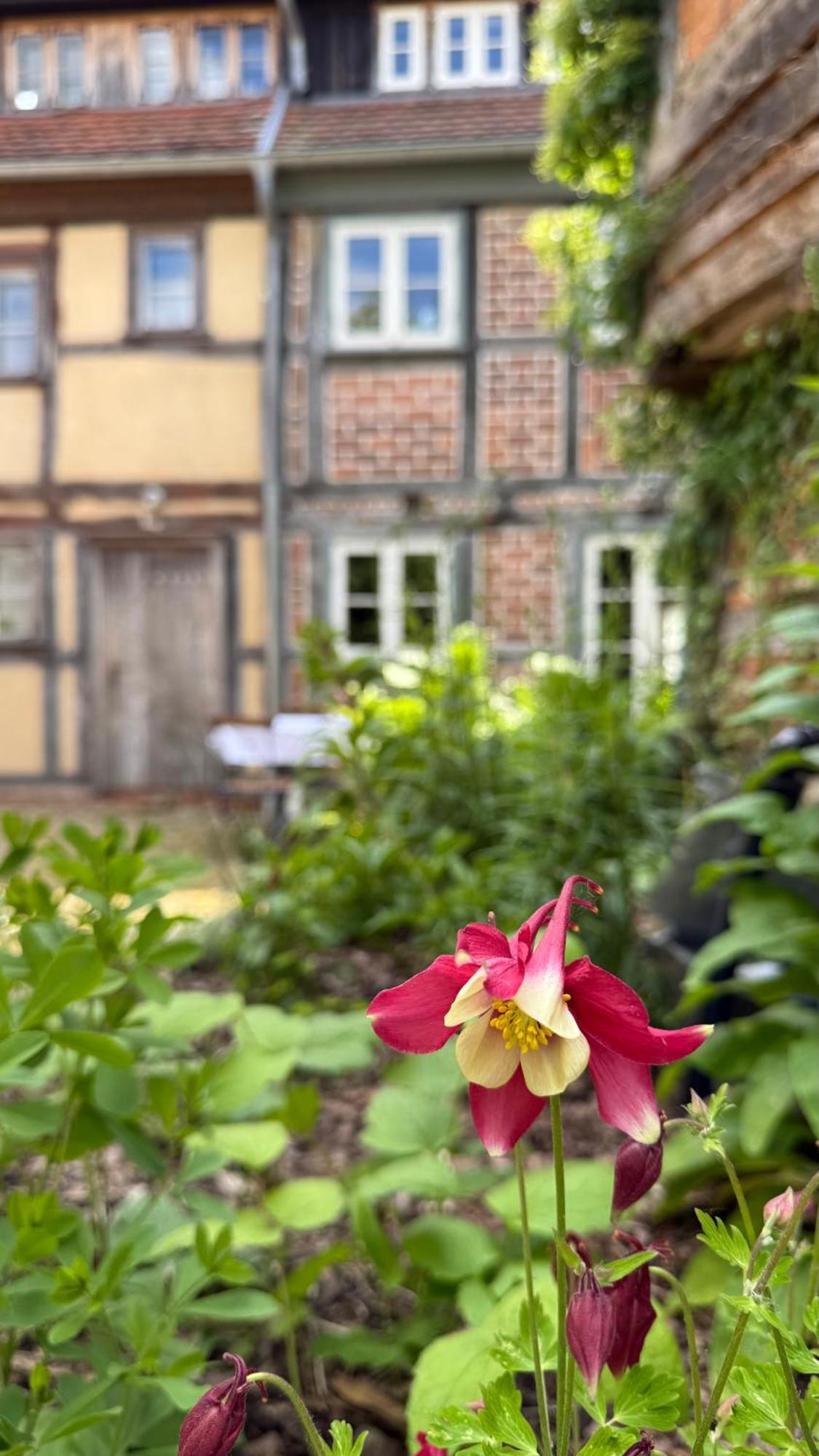 Ferienhaus St. Johannis Werben  ภายนอก รูปภาพ